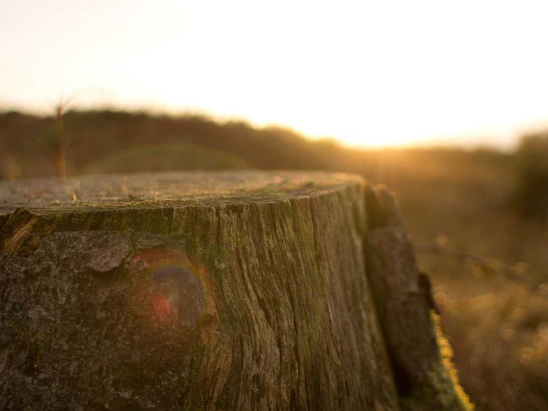 sudoku naked pairs screenshot 1